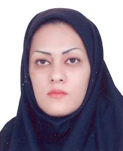 وکیل شراره برکچی
