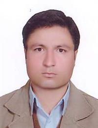 وکیل علی محمدی