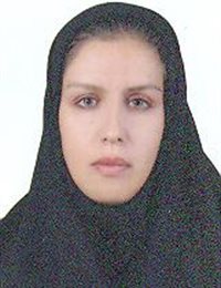 وکیل مدینه احمدی
