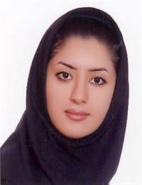 وکیل مینا ترکمنی
