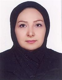 وکیل مه آرا عاملی