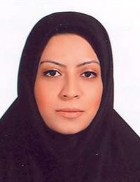 وکیل سمیه میرزاده