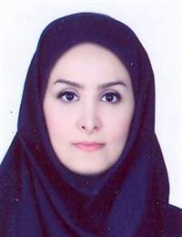 وکیل نساء بنی عامریان