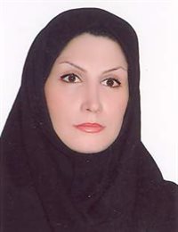 وکیل مزین برزو