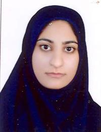 وکیل نسرین شرنگ