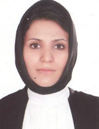 وکیل سپیده نیکنام جزه
