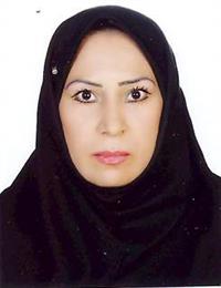 وکیل زینب محمدی
