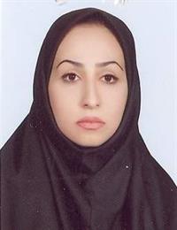 وکیل نگین ملائیان