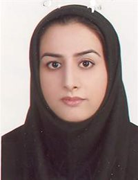 وکیل سرور موسوی