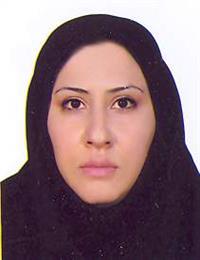 وکیل میناسادات مرکفشی