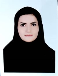 وکیل مینا رضایی کوچشمکی