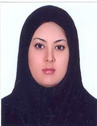 وکیل فرزانه مهدی زاده کفاش