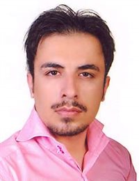 وکیل هادی حسینی