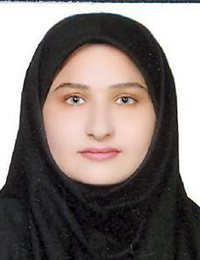 وکیل بهار نجف پور سیبکی