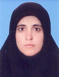 وکیل معظمه شیخ حسینی لری