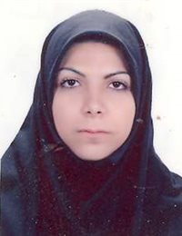 وکیل شادی هواسی