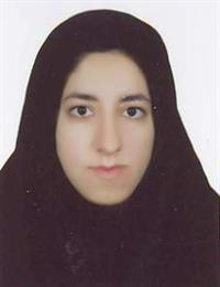 وکیل سهیلا لطفی