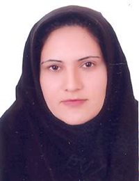 وکیل مرضیه حسن زاده کامی