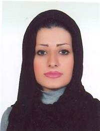 وکیل ساناز میرکی