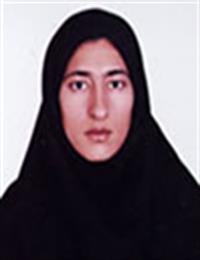 وکیل مریم نجفی کنگرلوئی