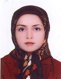 وکیل ندا احمدی