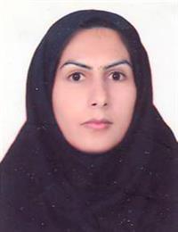 وکیل اعظم کریمی