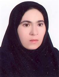 وکیل فرزانه برادران